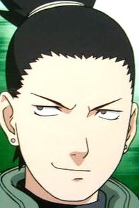 ���� ��������