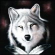 Night_Wolf