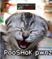 pooshok