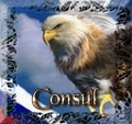 Consul