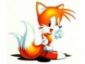 TailS