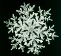 snowflake