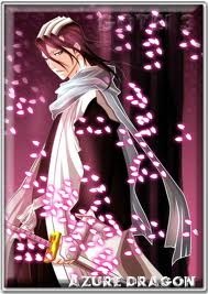 Kuchiki Byakuya 9