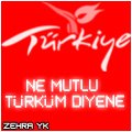 altin_yildiz