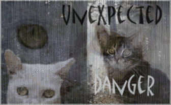 �������111