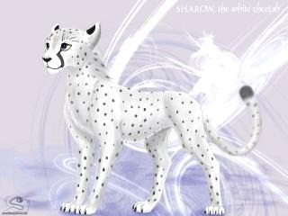 ��������.