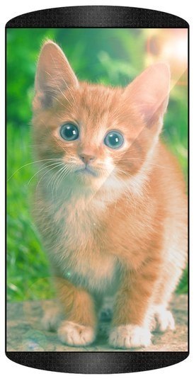 [MaC��� ஜ۩۞۩ஜ ������]