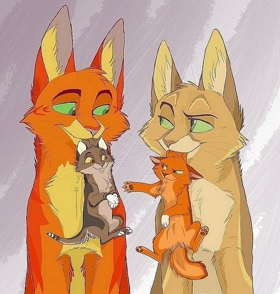 �������������