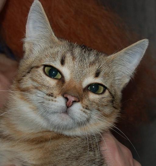 ������������