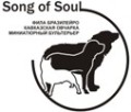 Song of Soul