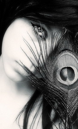 ���� ��������