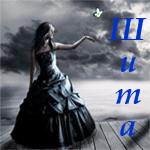 ���� ����-�����