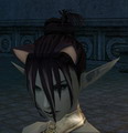 Arien