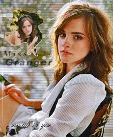 �����������������