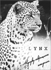 Lynx