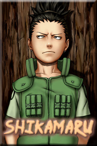 �������� ����