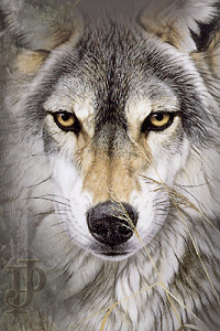 ����� ����