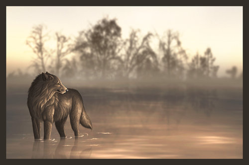 �������