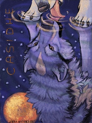 ������� ����