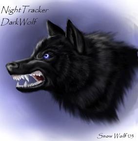 ������_�����