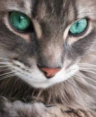 �������� ������