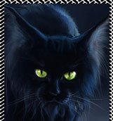 ������ �����