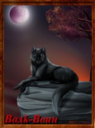 ���k-����