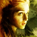 Lady Sansa Stark