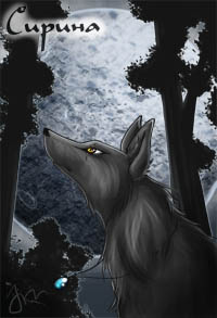 ���������� ������� ������