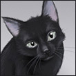 Black_Cat