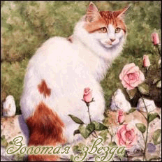 ������� ������