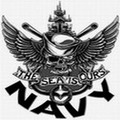 navy