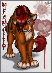 ������� �����