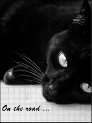 �Me La Sudo�[����]