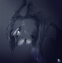 ��������� �����