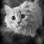 �������