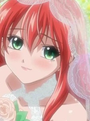 ���� �����