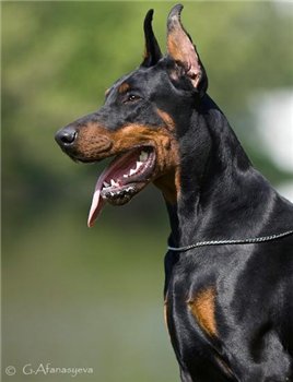 .������.