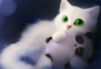  ()