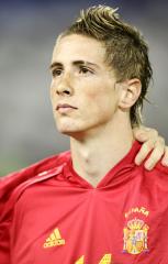 Torres fan