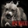 ~Pit bul~