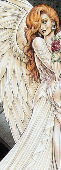 �������� ���