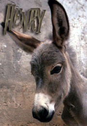 ������ ���