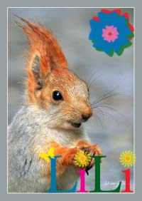 ׸������ �������