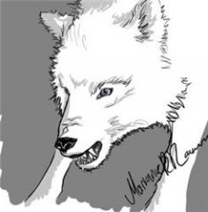 ����������