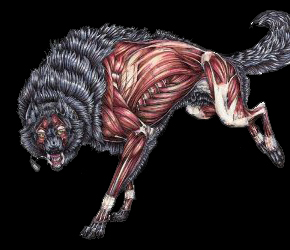 -�reature-[�����]-