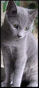 �������� ����