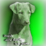 Green Dog