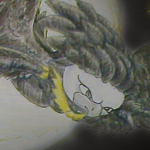 �������