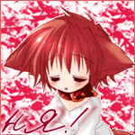 �������� ��